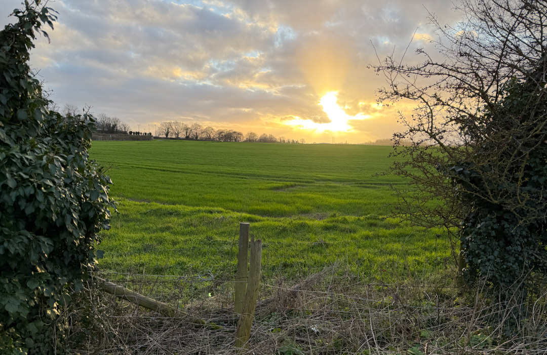 Hinxton, UK